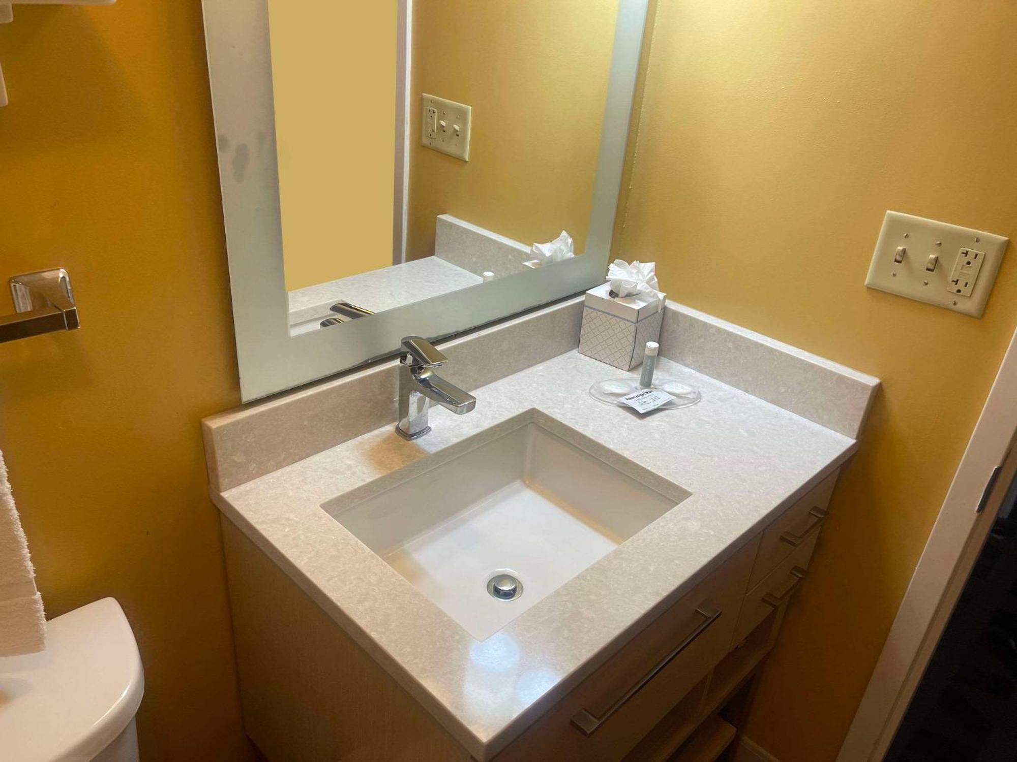 Mainstay Suites Tampa Moffitt-Usf Temple Terrace Zewnętrze zdjęcie