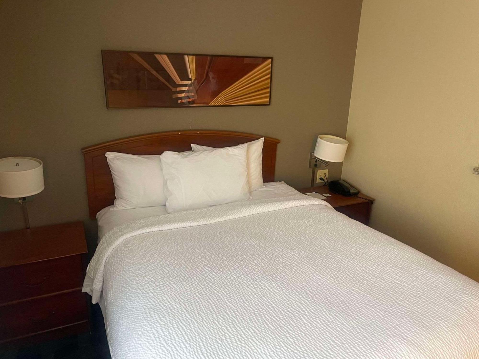 Mainstay Suites Tampa Moffitt-Usf Temple Terrace Zewnętrze zdjęcie
