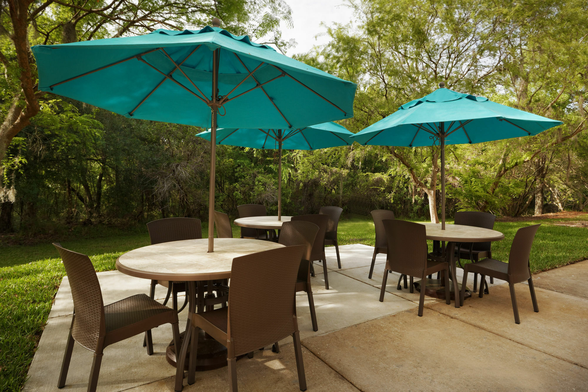 Mainstay Suites Tampa Moffitt-Usf Temple Terrace Zewnętrze zdjęcie
